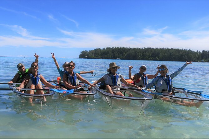 Eco guided excursion to the lagoon of Moorea in transparent kayak 1/2 day morning - Price and Value: Is $91.10 a Fair Deal?