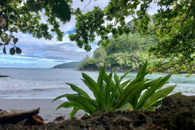Electric Bike Rental Moorea