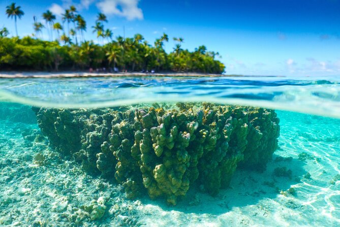 Excursion to Tetiaroa by Catamaran Visit Lunch Snorkeling - Key things to know before you go