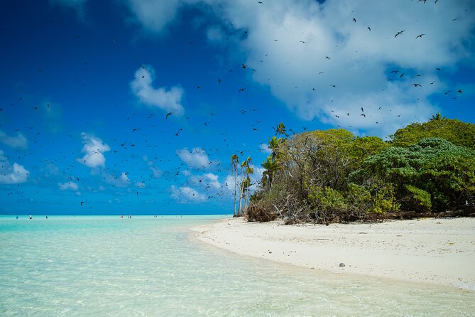 Excursion to Tetiaroa by Catamaran Visit Lunch Snorkeling - Boat comfort, crowding, and why the timing feels long but doable