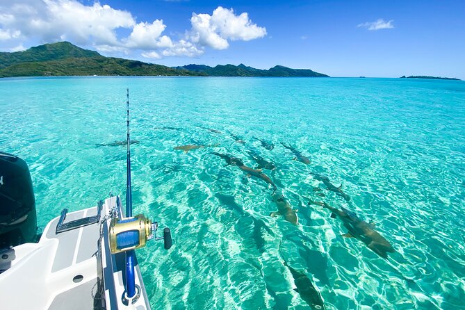 Exploration, Taha'a Lagoon Tour by Private Boat - Key highlights you will care about