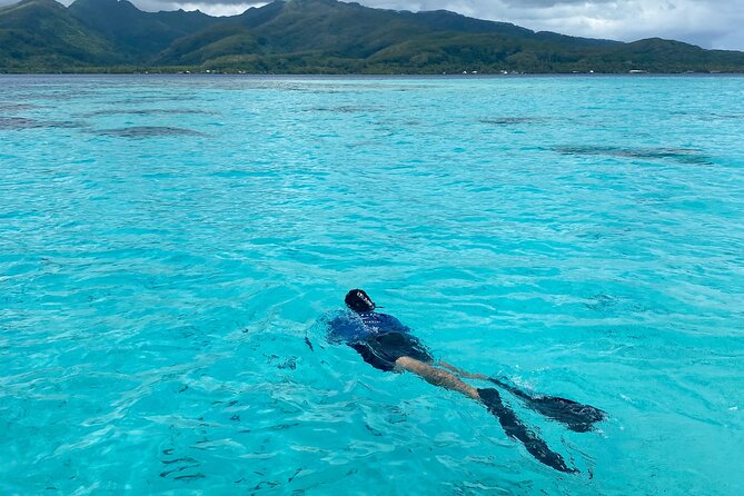 Exploration, Taha'a Lagoon Tour by Private Boat - Jardin de Corail coral garden: fruit time at reef level