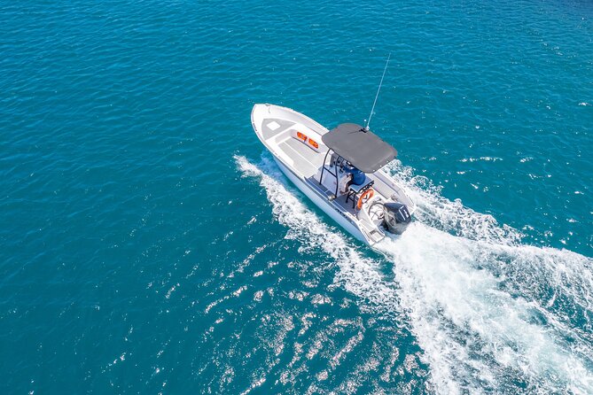 Exploration, Taha'a Lagoon Tour by Private Boat - Snorkeling in Taha’a Lagoon: sharks, rays, coral, turtles