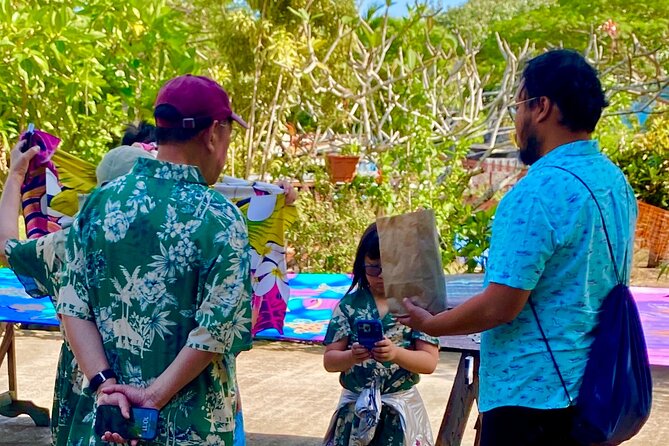 Explore Bora Bora with Private Premium Mini Van - Vaitape and Faanui: Learning Bora Bora’s Land Side Early