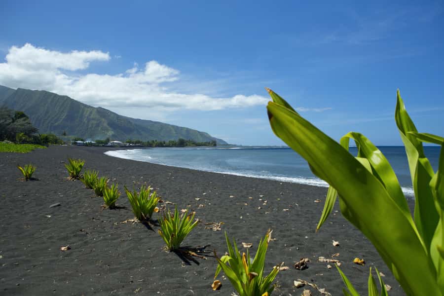 From Papeete: Tahiti Highlights Full-Day Private Tour - Vaipahi Water Gardens: the break that makes the day feel less rushed