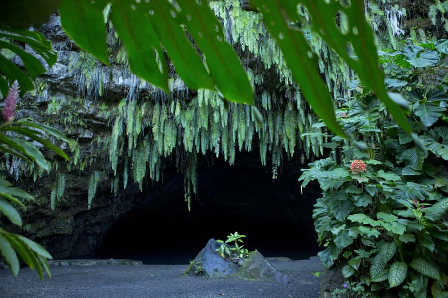 From Papeete: Tahiti Highlights Full-Day Private Tour - Lunch at the Paul Gauguin Museum Restaurant, with lagoon views