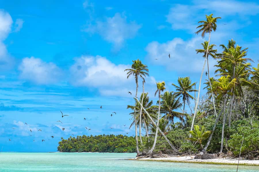 From Tahiti: Tetiaroa Island Tour by Sailing Catamaran - Key things that make this Tetiaroa day trip worth your time
