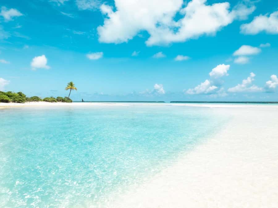 From Tahiti: Tetiaroa Island Tour by Sailing Catamaran - Who this tour fits best, and who should think twice