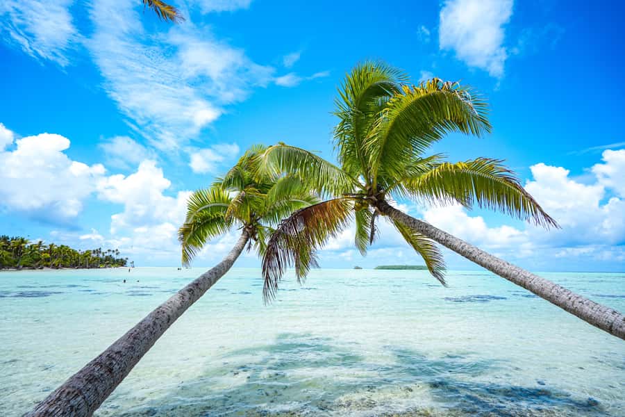From Tahiti: Tetiaroa Island Tour by Sailing Catamaran - The Bird’s Island guided walk: what you do first on the island