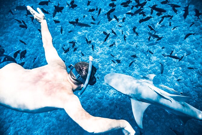 Full-Day Bora Bora Lagoon Cruise Including Snorkeling with Sharks and Stingrays - Stingrays and Reef Sharks: How the Crew Makes It Safe and Calm