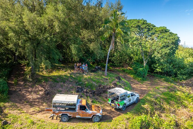 Full Day Combo 4X4 Adventure Tour & Motu FANFAN Pass with Buffet - A 4x4 day that makes sense: viewpoints, culture, and real downtime on the motu