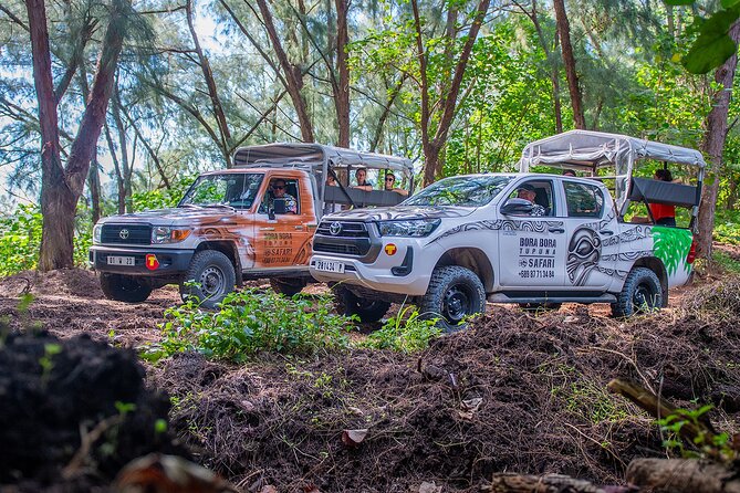 Full Day Combo 4X4 Adventure Tour & Motu FANFAN Pass with Buffet - Price and value: what you pay for, and what you might spend on top