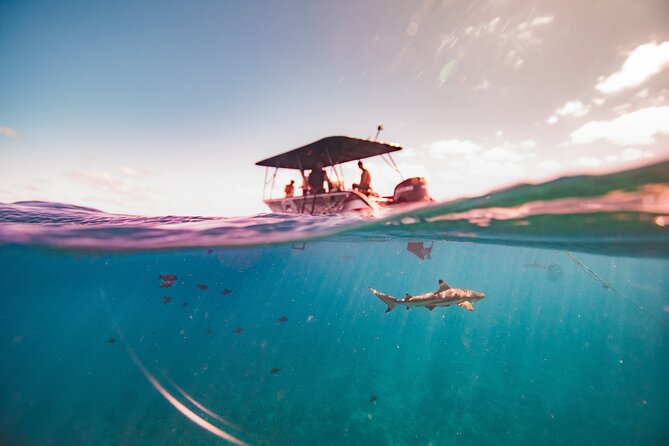 Full Day Eco Snorkeling & Traditional BBQ Lunch on a Motu - The Motu Break: BBQ Lunch, Coconut Stories, and Lagoon Views