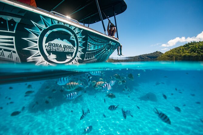 Full Day Eco Snorkeling & Traditional BBQ Lunch on a Motu - What the Small Group (Up to 10) Changes for You