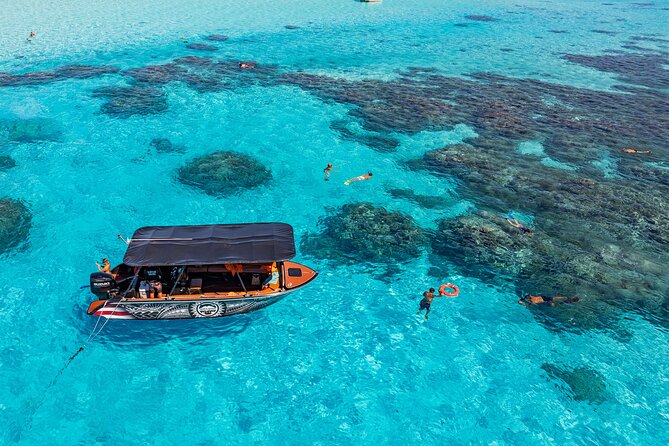 Full Day Eco Snorkeling & Traditional BBQ Lunch on a Motu - Tips to Get the Most Out of Your Snorkeling and BBQ Day