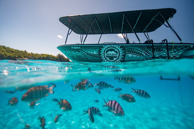 Full Day Eco Snorkeling & Traditional BBQ Lunch on a Motu - Price and Value: Is $204.06 Worth It?