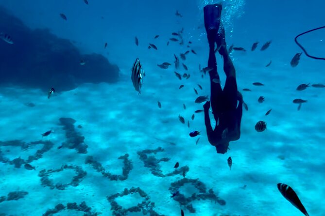 Full Day Lagoon experience with motu lunch - Key highlights worth planning for