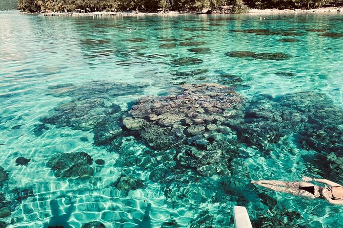 Full-day Lagoon Safari Tour with Lunch in Bora Bora - Shared tour - Rohivai Tours at a Glance: Shared Boat, Small Group, Real Island Rhythm