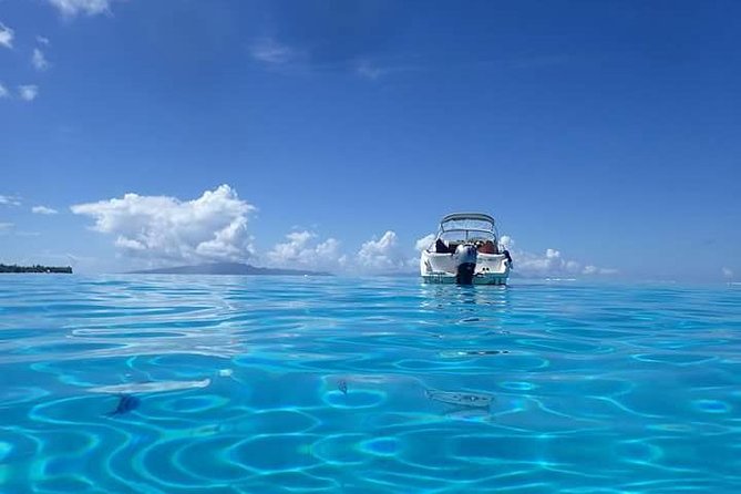 Full-Day Private Boat Tour of Bora Bora Lagoon with Snorkel - Meeting your guide and how the captain style matters