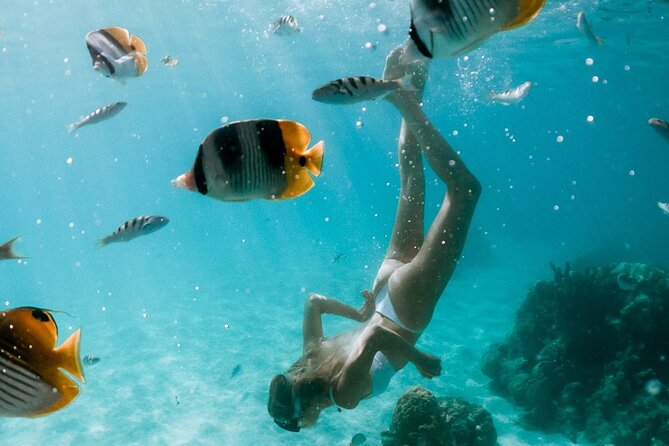 Full Day Tour : Moorea Snorkeling & Sunset Cruise on a Catamaran named Taboo - Taboo Catamaran: A Small-Group Day That Actually Feels Like Moorea