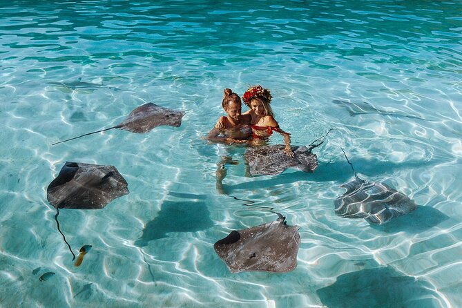 Full Day Tour : Moorea Snorkeling & Sunset Cruise on a Catamaran named Taboo - Stop One at Voila Moorea: Your First Look and Your First Wildlife Chances