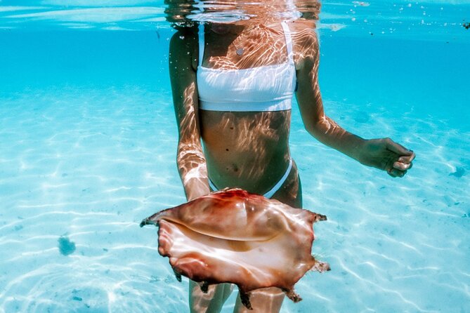 Full Day Tour : Moorea Snorkeling & Sunset Cruise on a Catamaran named Taboo - Cook’s Bay and the Reef Swim: Where the Day Gets Its Wow Factor