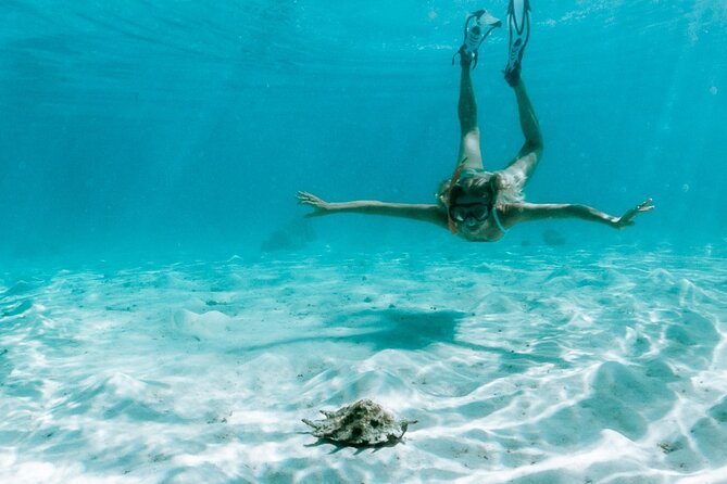Full Day Tour : Moorea Snorkeling & Sunset Cruise on a Catamaran named Taboo - “No Water Required” Option: You Can Still Enjoy the Sailing Day