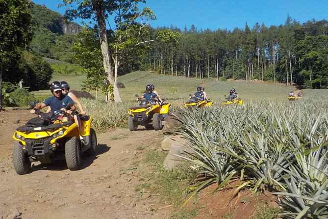 Grand Combo 3H00 of Jetski + 2H30 of Quad - Should you book the Grand Combo (jet ski + quad)?