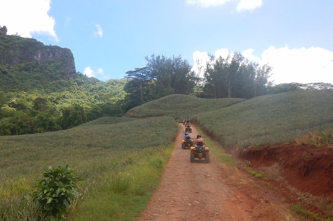 Grand Tour Quad Excursion in Moorea (Single or Two-Seater) - Meeting at Moorea Activities Center - Opunohu, Then the Briefing That Matters