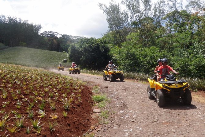Grand Tour Quad Excursion in Moorea (Single or Two-Seater) - Fare Tutava Tasting Stop: Confitures and Local Flavors