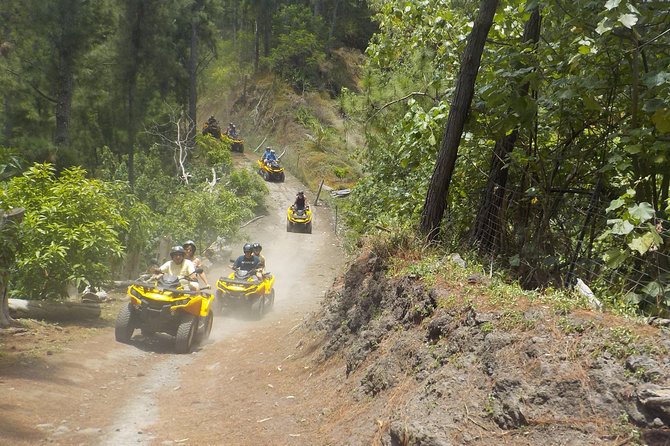 Grand Tour Quad Excursion in Moorea (Single or Two-Seater) - Magic Mountain Overlook: The Big Panoramic Payoff