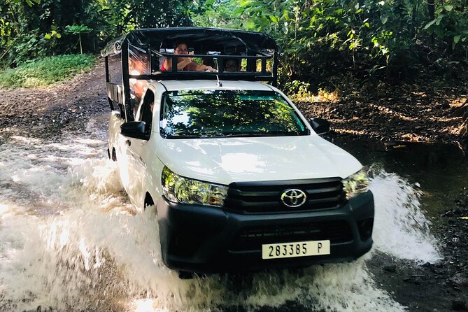 Guided Excursion in 4x4 in Moorea between Land and Sea - Stop 2: Opunohu Bay and the Pineapple Valley Crossing