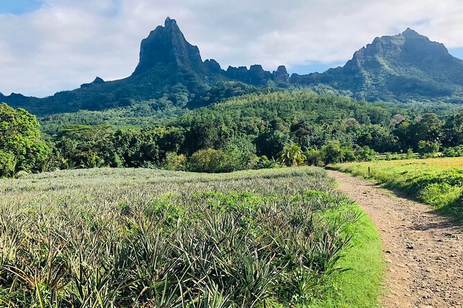 Guided Excursion in 4x4 in Moorea between Land and Sea - Meet Heirani, the Driver Who Sets the Tone
