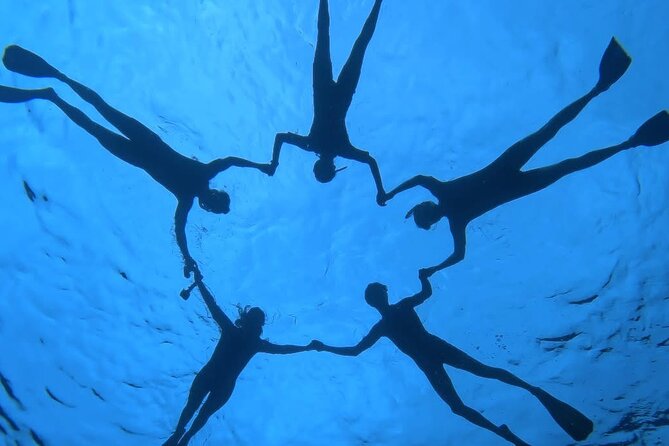 Guided Small Group Whale Watching and Swim Tour Tahiti - Whale swim conditions: what triggers an in-water moment