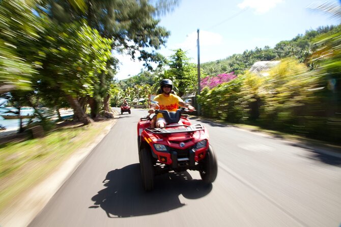 Guided Tour of Bora Bora by Quad - Price and Value: When This Quad Tour Feels Fair, and When It Might Not