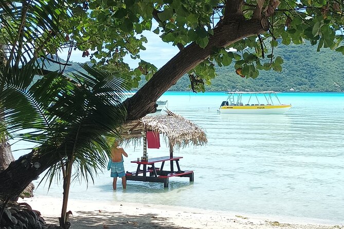 Half a day to discover Bora Bora with O-sea - Rays, possible mantas, and leopard rays in natural habitat