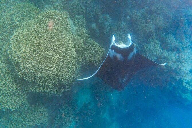 Half a day to discover Bora Bora with O-sea - The guide’s storytelling: legends, nature knowledge, and a friendly tone