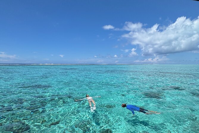 Half day Eco Snorkeling small group Tour in Bora Bora - Key highlights you should know before you go