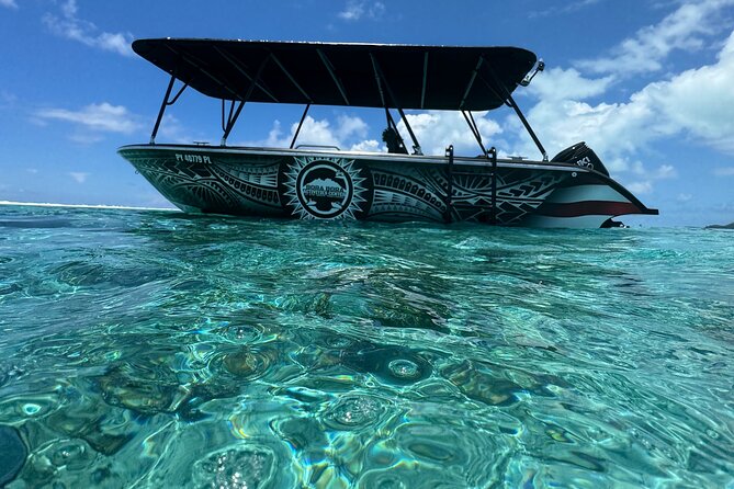 Half day Eco Snorkeling small group Tour in Bora Bora - Bora Bora Lagoon Snorkeling, but with a calmer small-group vibe