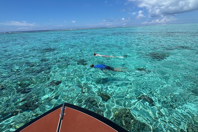 Half day Eco Snorkeling small group Tour in Bora Bora - Gear, safety instructions, and the guide role you actually feel
