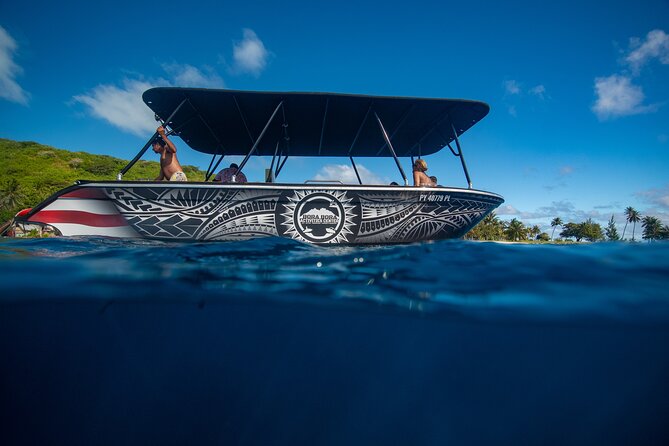 Half day Eco Snorkeling small group Tour in Bora Bora - Your 9:00 am schedule and how the 3 hours are paced