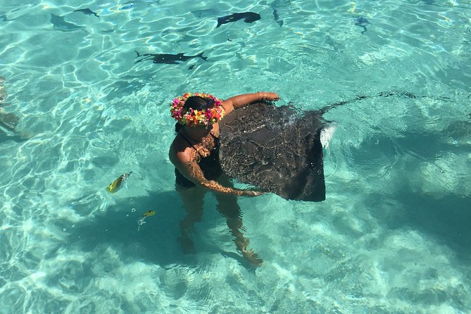 Half day Excursion, Drift Snorkeling Lagoon Adventure. 3H - Quick hits before you go