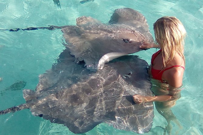 Half day Excursion, Drift Snorkeling Lagoon Adventure. 3H - Snorkeling Optional, With a Rope Assist for First-Timers