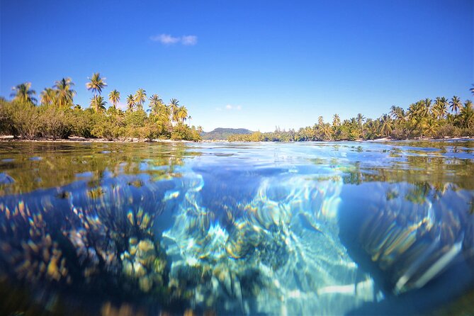 Half day excursion Tahaa - departure Raiatea / ideal cruise line - Who This Tahaa Half-Day Tour Suits Best (And Who Should Skip It)