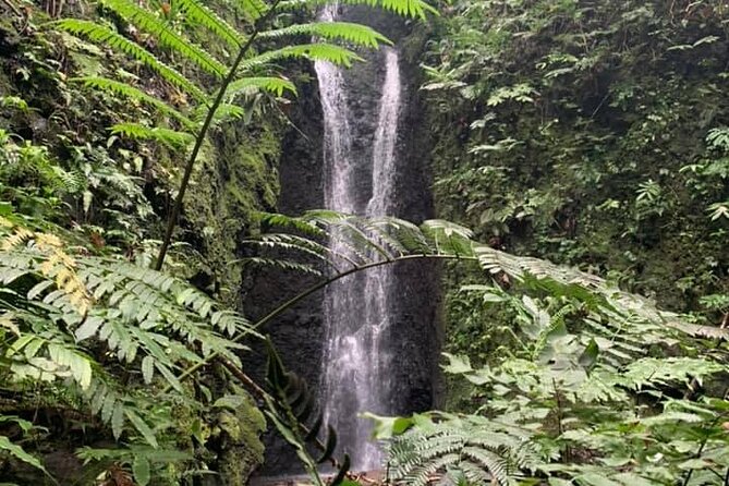 Half-Day Guided Hike to Afareaitu Waterfall - Key things you’ll love about this Afareaitu Waterfall hike