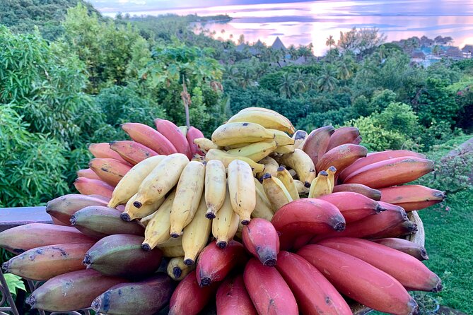 Half-Day Guided Hike to Afareaitu Waterfall - Group size, guides, and what that means for your hike pace
