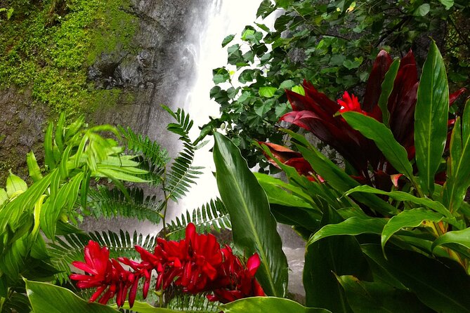 Half-Day Guided Hike to Afareaitu Waterfall - Stop by stop: temples, terraces, river pools, and the meaning of Afareaitu