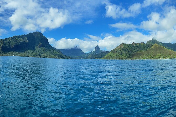 Half-Day Humpback Whales Encounter in Moorea - Quick hits before you go