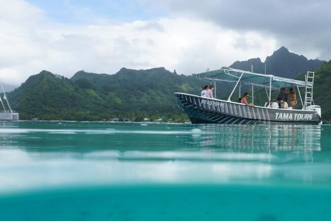 Half-Day Humpback Whales Encounter in Moorea - First Glance of Moorea’s Humpbacks