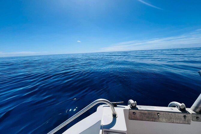 Half-Day Humpback Whales Encounter in Moorea - Whale Watching From the Boat, With Better Control
